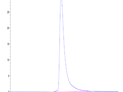 Human CD84/SLAMF5 Protein (CD8-HM484)