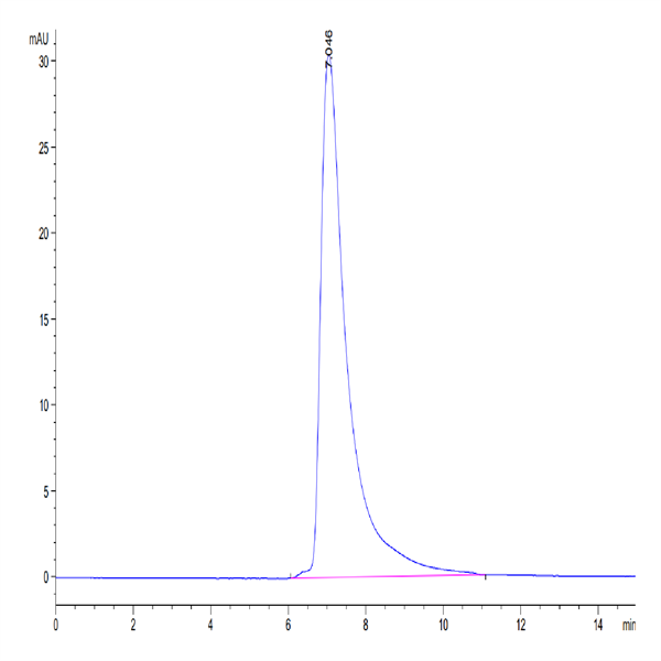 Human CD84/SLAMF5 Protein (CD8-HM484) Human CD84/SLAMF5 Protein (CD8-HM484)
