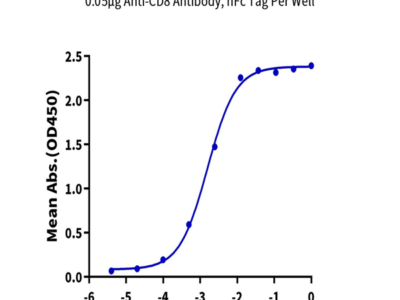 Biotinylated Human CD8 alpha/CD8A Protein (CD8-HM48AB)