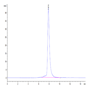 Mouse CD8 alpha/CD8A Protein (CD8-MM18A)