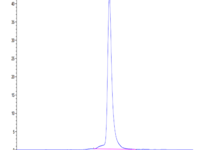 Mouse CD8 alpha/CD8A Protein (CD8-MM18A)