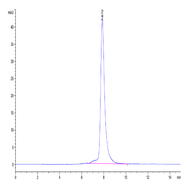 Mouse CD8 alpha/CD8A Protein (CD8-MM18A) Mouse CD8 alpha/CD8A Protein (CD8-MM18A)