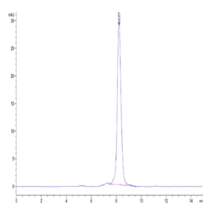 Mouse CD8 alpha&beta Heterodimer Protein (CD8-MM1AB)