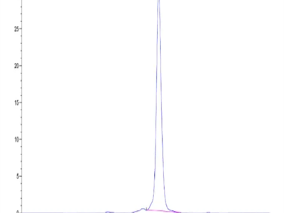 Mouse CD8 alpha&beta Heterodimer Protein (CD8-MM1AB)