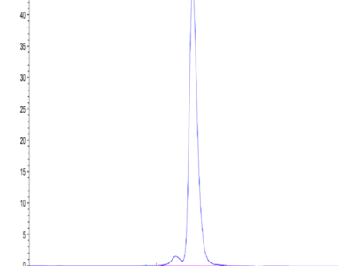 Mouse CD83 Protein (CD8-MM283)