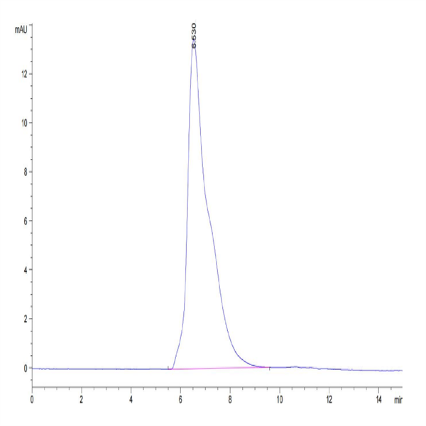 Cynomolgus CD96/TACTILE Protein (CD9-CM196)