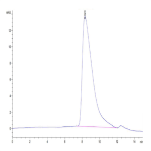 Human CD9P1 Protein (CD9-HM101)
