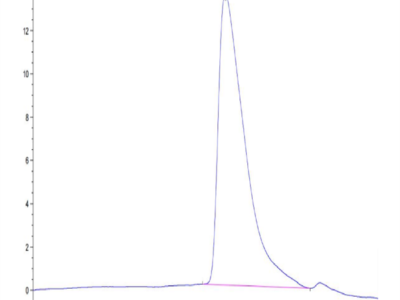 Human CD9P1 Protein (CD9-HM101)