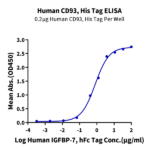 Human CD93/C1q R1 Protein (CD9-HM193)