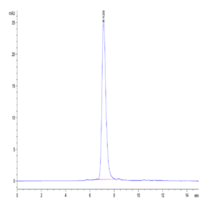 Human CD93/C1q R1 Protein (CD9-HM193)