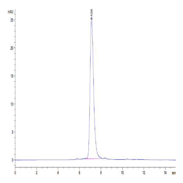 Human CD93/C1q R1 Protein (CD9-HM193)