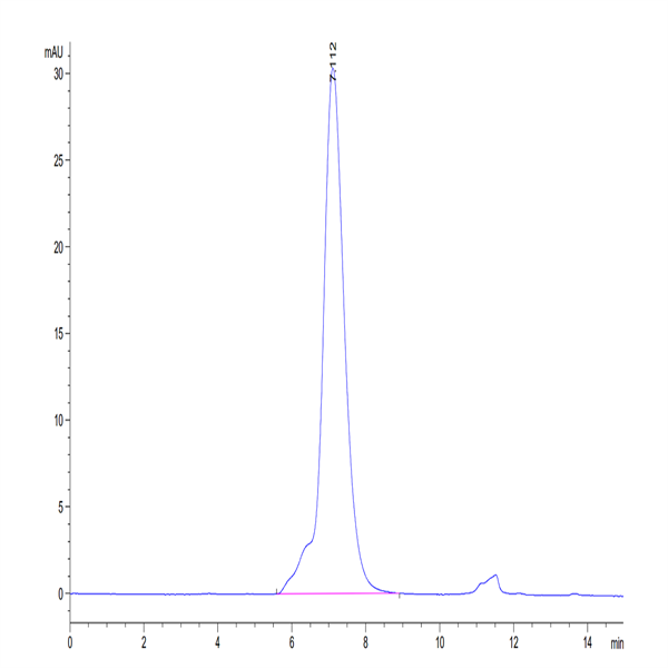 Human CD96/TACTILE Protein (CD9-HM196)