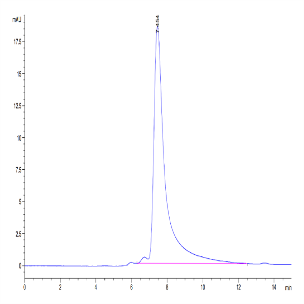 Human CD98 Protein (CD9-HM198)