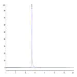 Human CD93/C1q R1 Protein (CD9-HM293)