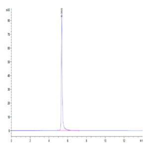 Human CD93/C1q R1 Protein (CD9-HM293)