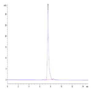 Human CD99/MIC2 Protein (CD9-HM299)
