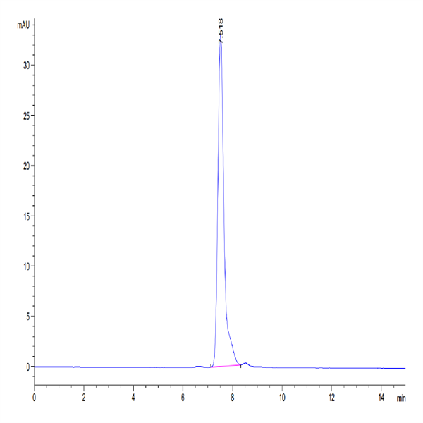 Human CD99/MIC2 Protein (CD9-HM299) Human CD99/MIC2 Protein (CD9-HM299)