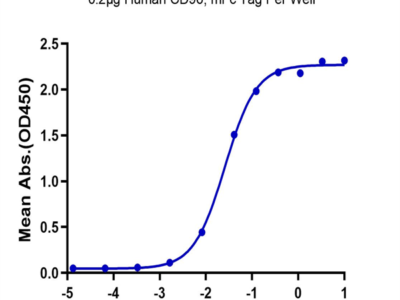 Human CD96/TACTILE Protein (CD9-HM396)