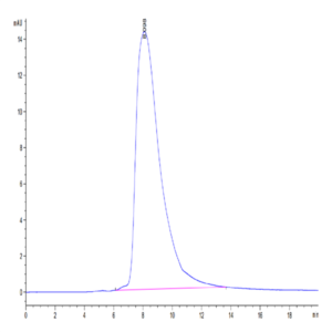 Biotinylated Human CD94 Protein (CD9-HM404B)