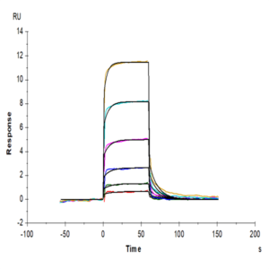 Biotinylated Human CD93/C1q R1 Protein (CD9-HM493B)