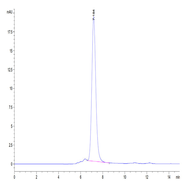 Biotinylated Human CD93/C1q R1 Protein (CD9-HM493B)