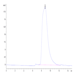 Mouse CD9P1 Protein (CD9-MM101)