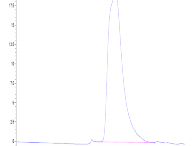 Mouse CD9P1 Protein (CD9-MM101)