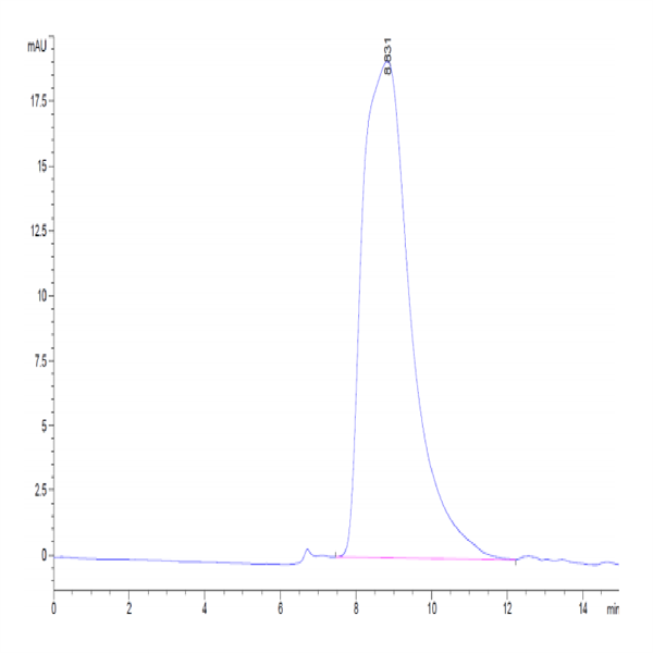 Mouse CD9P1 Protein (CD9-MM101)