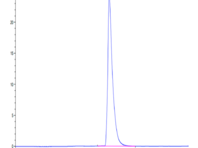 Cynomolgus CD300A Protein (CDA-CM101)