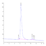Cynomolgus CD300A Protein (CDA-CM601)