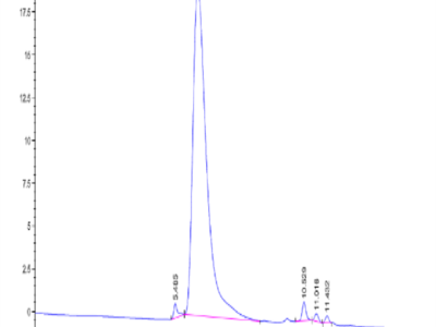 Cynomolgus CD300A Protein (CDA-CM601)