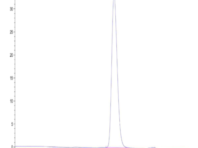 Biotinylated Cynomolgus CD300A Protein (CDA-CM601B)