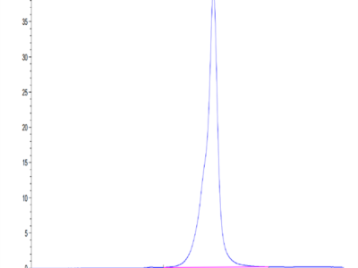 Human CD1A Protein (CDA-HM11A)