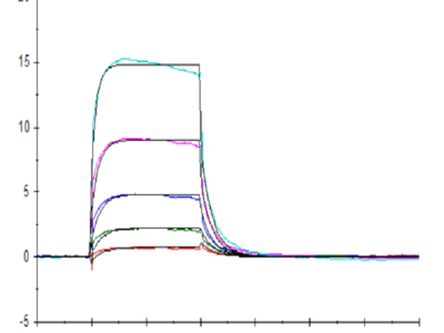 Human Fc gamma RIIIA/CD16a (F176) Protein (CDA-HM416)