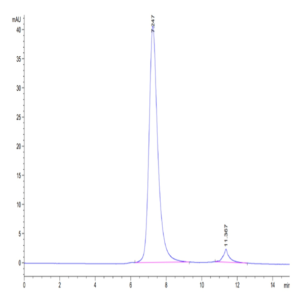 Human Fc gamma RIIIA/CD16a (F176) Protein (CDA-HM416)