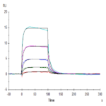 Biotinylated Human Fc gamma RIIIA/CD16a (F176) Protein (CDA-HM416B)