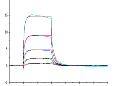 Biotinylated Human Fc gamma RIIIA/CD16a (F176) Protein (CDA-HM416B)