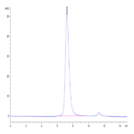 Biotinylated Human Fc gamma RIIIA/CD16a (F176) Protein (CDA-HM416B)