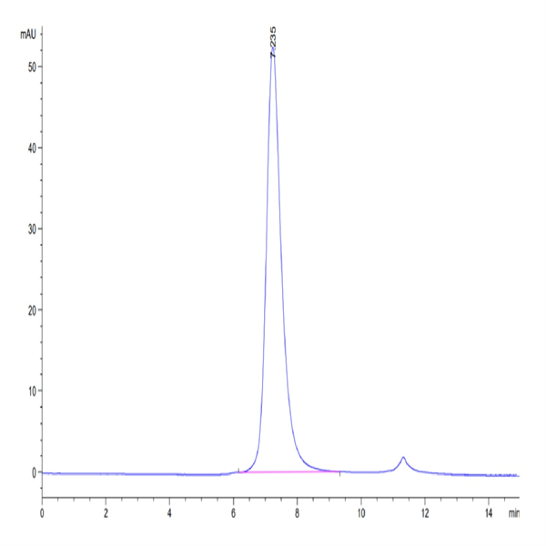 Biotinylated Human Fc gamma RIIIA/CD16a (F176) Protein (CDA-HM416B)