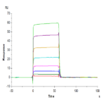 Biotinylated Human Fc gamma RIIA/CD32a (H167) Protein (CDA-HM432B)