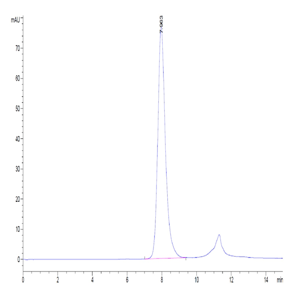 Biotinylated Human Fc gamma RIIA/CD32a (H167) Protein (CDA-HM432B)
