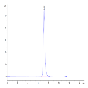 Mouse CD300A Protein (CDA-MM201)