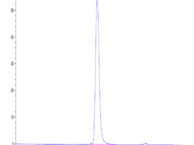 Mouse CD300A Protein (CDA-MM201)