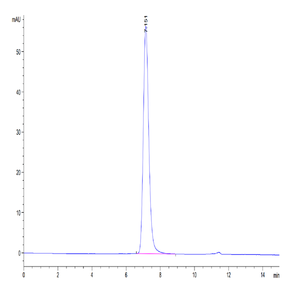 Mouse CD300A Protein (CDA-MM201)