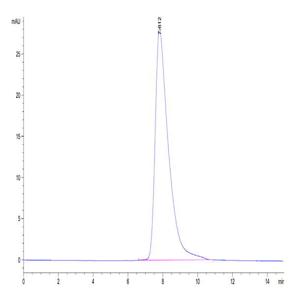 Human Fc gamma RIIB/CD32b Protein (CDB-HM401)