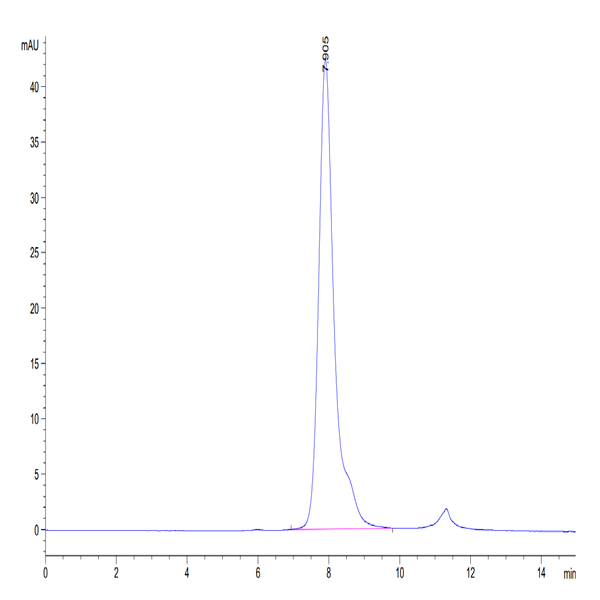 Biotinylated Human Fc gamma RIIB/CD32b Protein (CDB-HM401B)