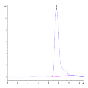 Mouse Fc gamma RIIB/CD32b Protein (CDB-MM101)
