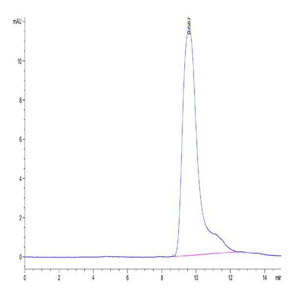 Mouse Fc gamma RIIB/CD32b Protein (CDB-MM101)