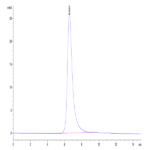 Cynomolgus CDCP1 Protein (CDC-CM101)