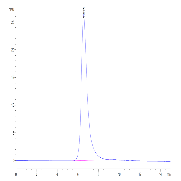 Cynomolgus CDCP1 Protein (CDC-CM101)